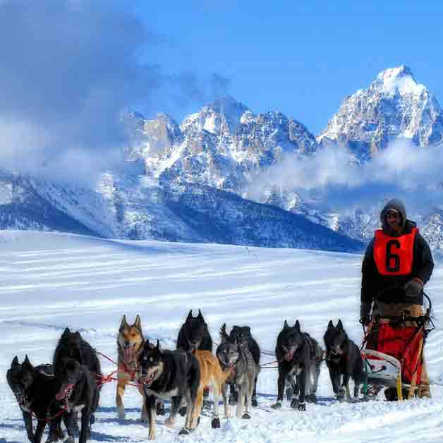 Iditarod Headquarters