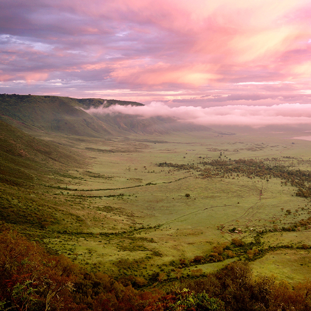 Ngorongoro Crater