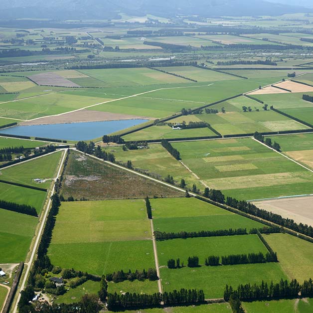 Canterbury Plains