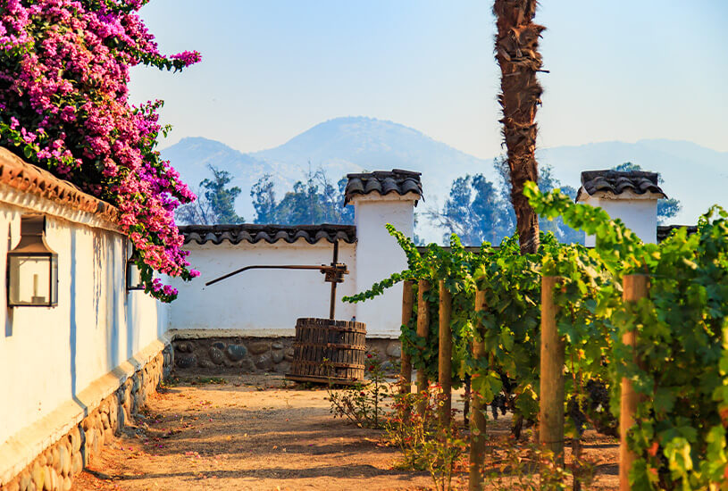 Maipo Valley, Chile