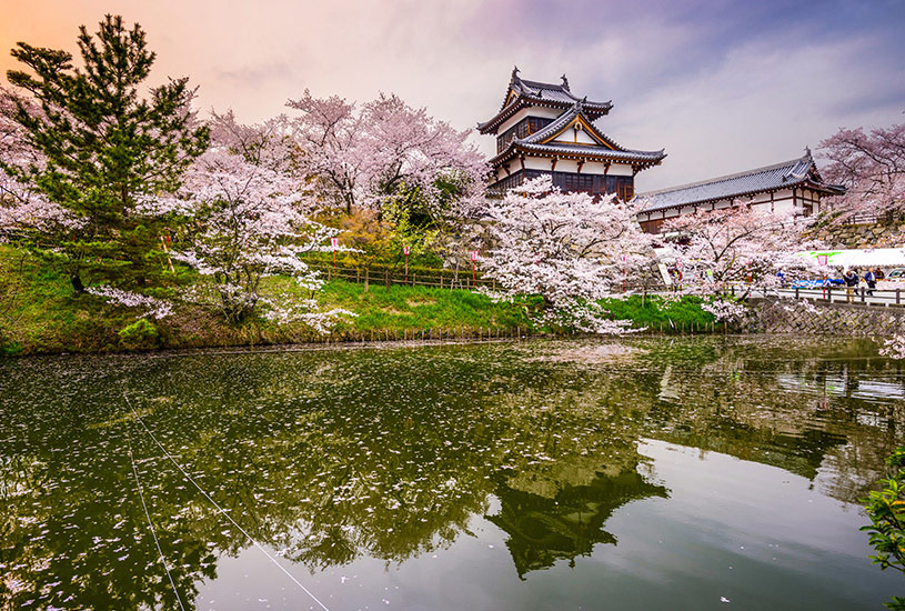 Nara Park, Japan