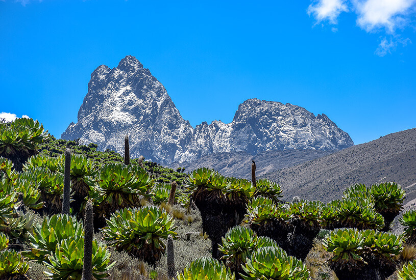 Mount Kenya, Kenya